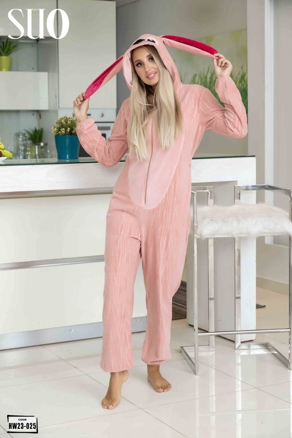 A Hooded Jumpsuit with Long Sleeves and 2 Pockets